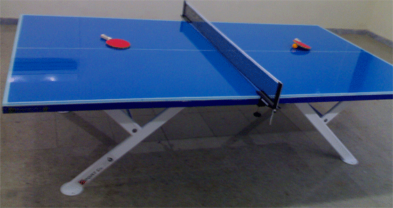 فردوس اسپرت